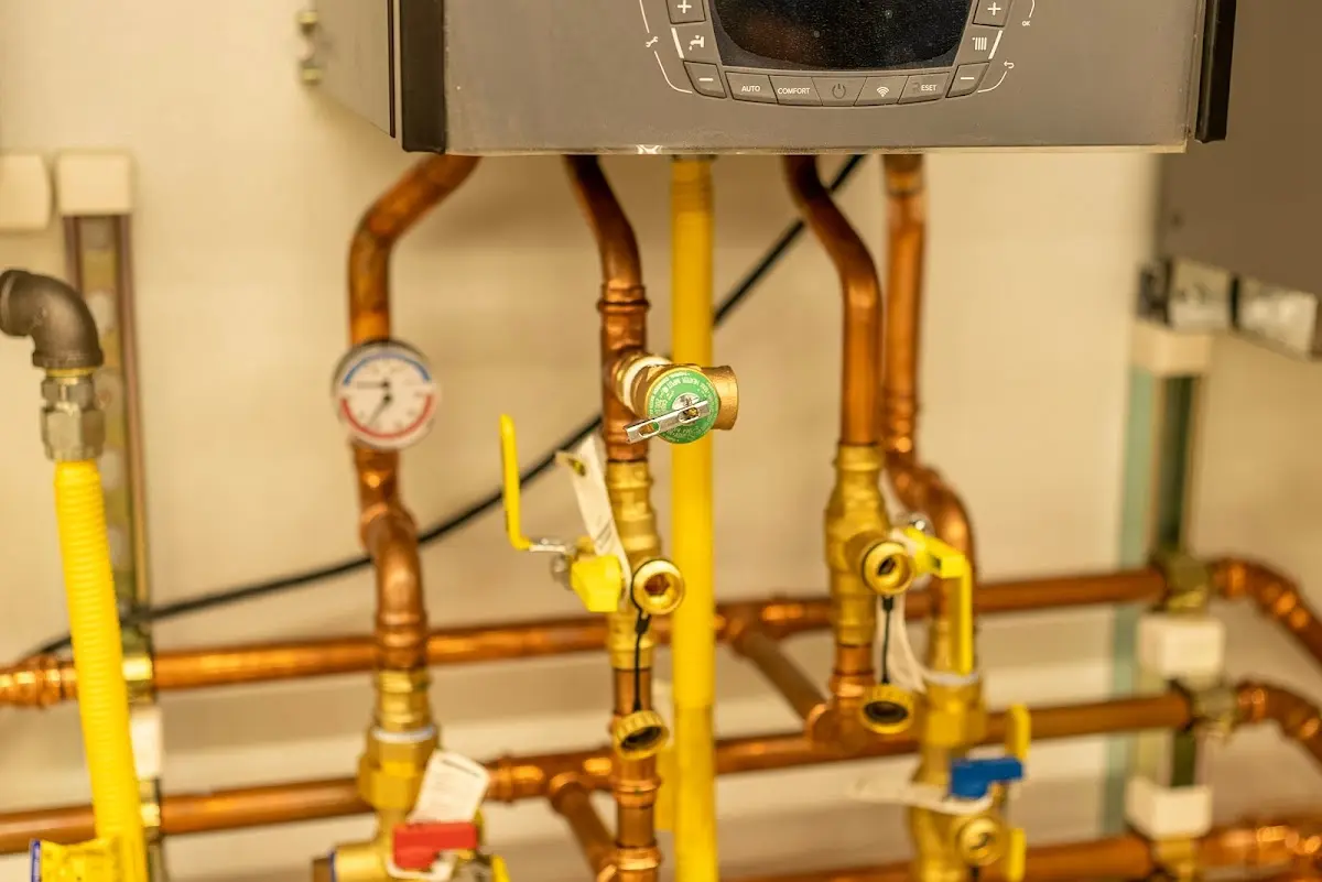 Licensed technician providing Emergency Plumbing for a homeowner in Wolf